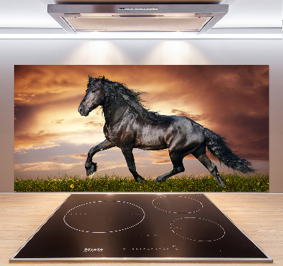 Cooker splashback Trotting horse