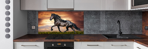 Cooker splashback Trotting horse