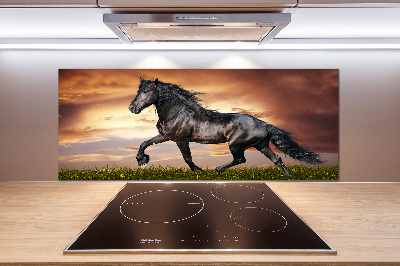 Cooker splashback Trotting horse