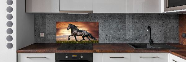 Cooker splashback Trotting horse