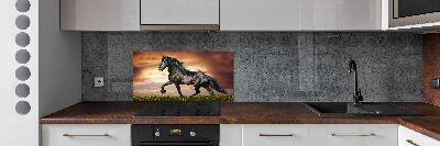 Cooker splashback Trotting horse