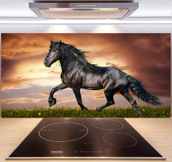 Cooker splashback Trotting horse