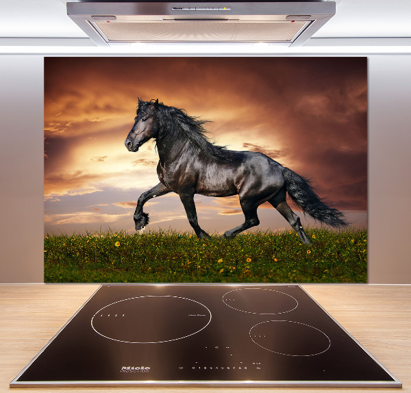 Cooker splashback Trotting horse