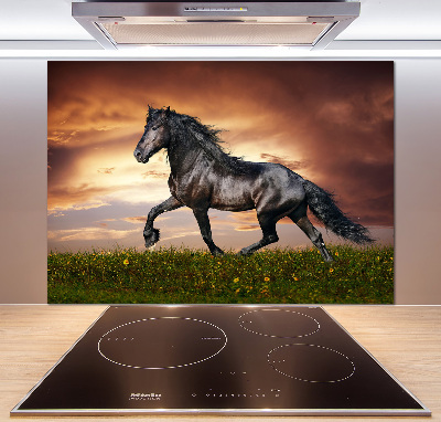 Cooker splashback Trotting horse