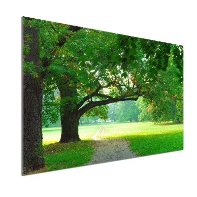 Kitchen wall panels Park in autumn