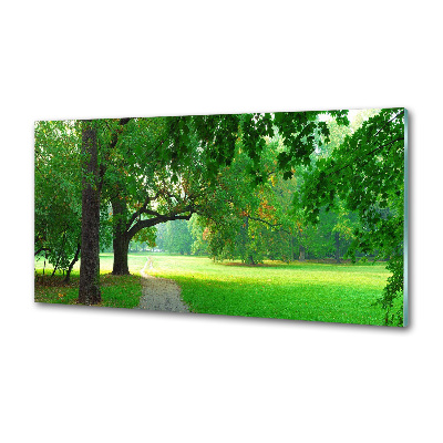 Kitchen wall panels Park in autumn