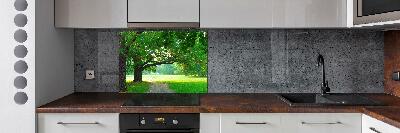 Kitchen wall panels Park in autumn