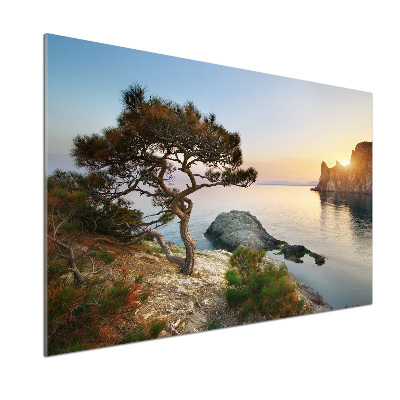 Cooker splashback Tree by the sea