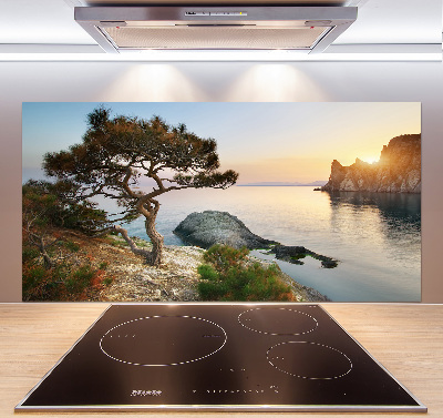 Cooker splashback Tree by the sea