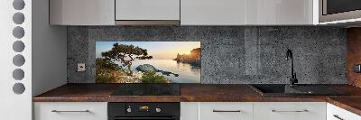 Cooker splashback Tree by the sea