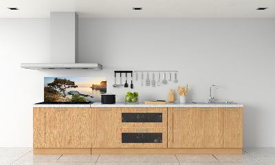 Cooker splashback Tree by the sea