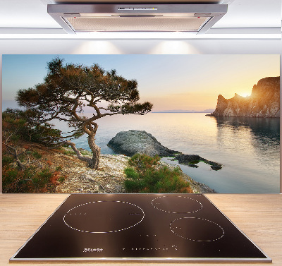 Cooker splashback Tree by the sea