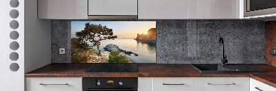 Cooker splashback Tree by the sea