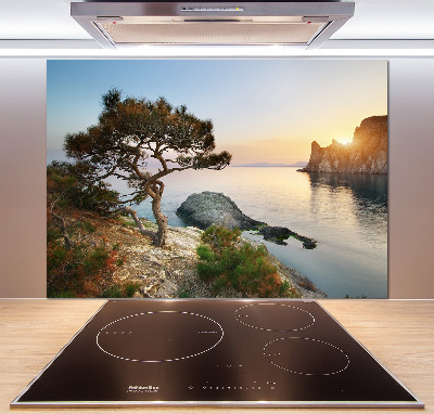 Cooker splashback Tree by the sea