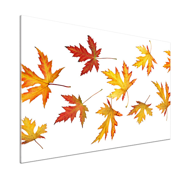 Kitchen wall panels Autumn leaves