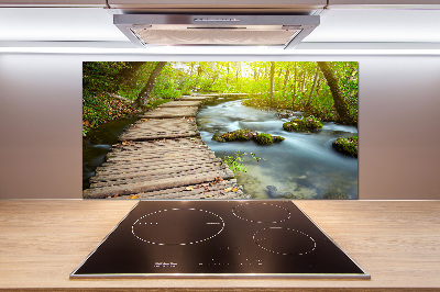 Cooker splashback Path over the river