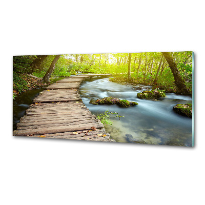 Cooker splashback Path over the river