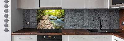 Cooker splashback Path over the river