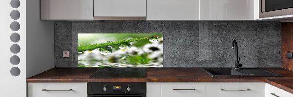 Kitchen wall panels Drops on the grass