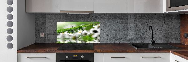 Kitchen wall panels Drops on the grass