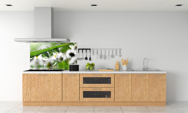 Kitchen wall panels Drops on the grass