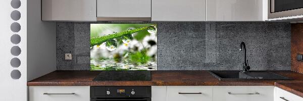 Kitchen wall panels Drops on the grass