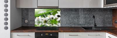 Kitchen wall panels Drops on the grass