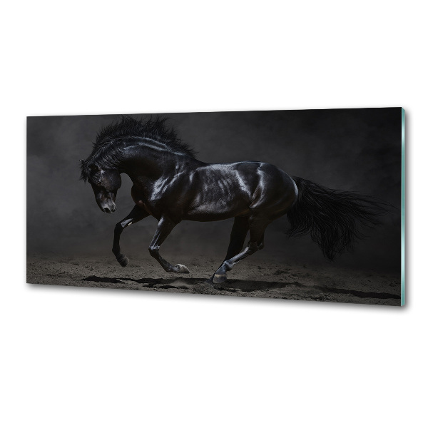 Glass splashback Black Horse