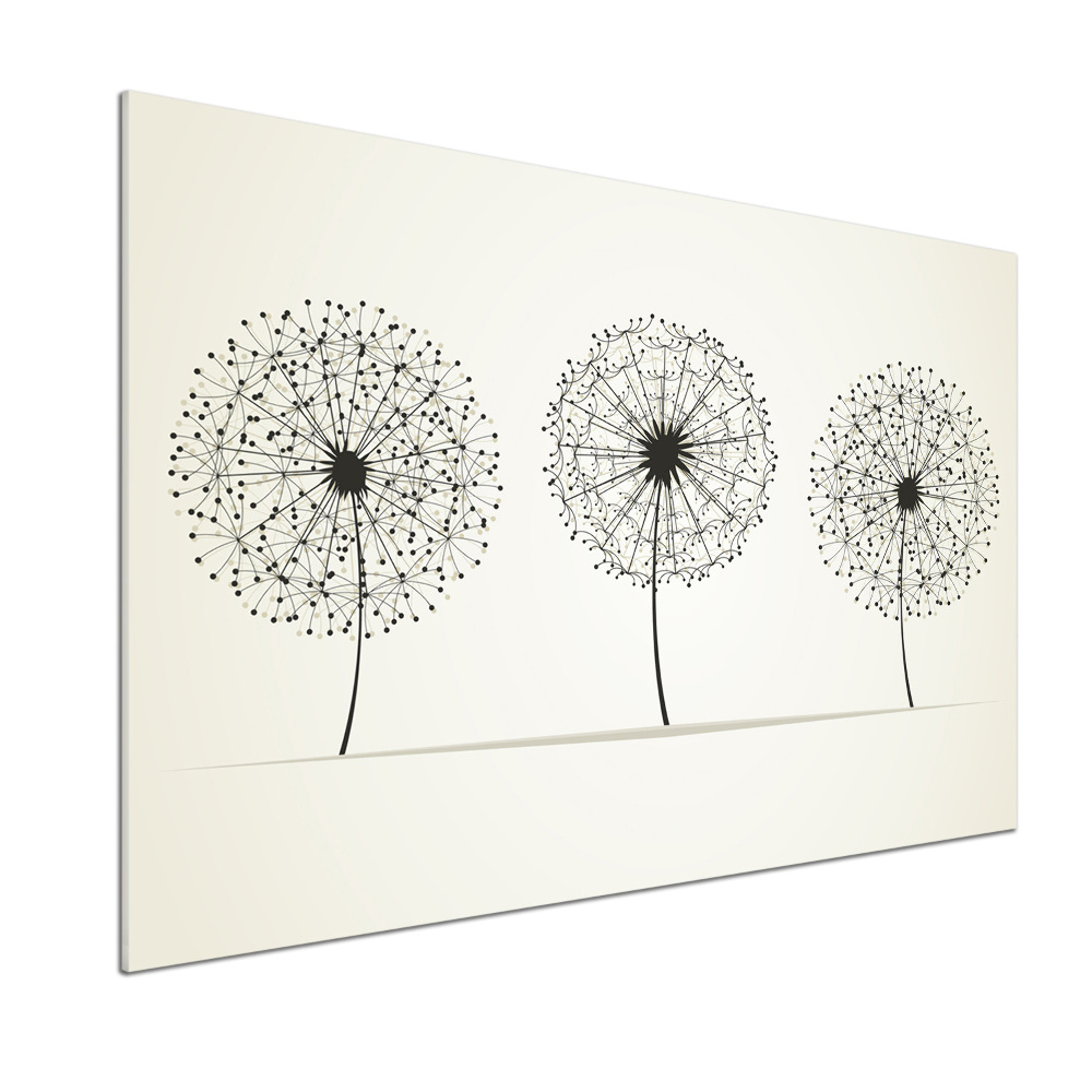 Hob splashback dandelions