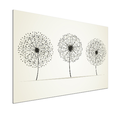 Hob splashback dandelions