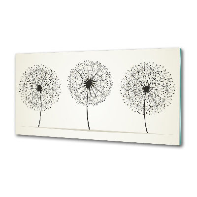 Hob splashback dandelions