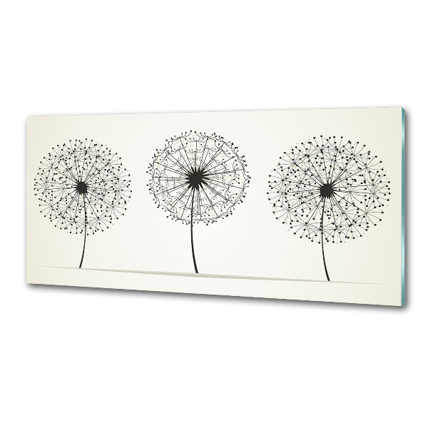 Hob splashback dandelions