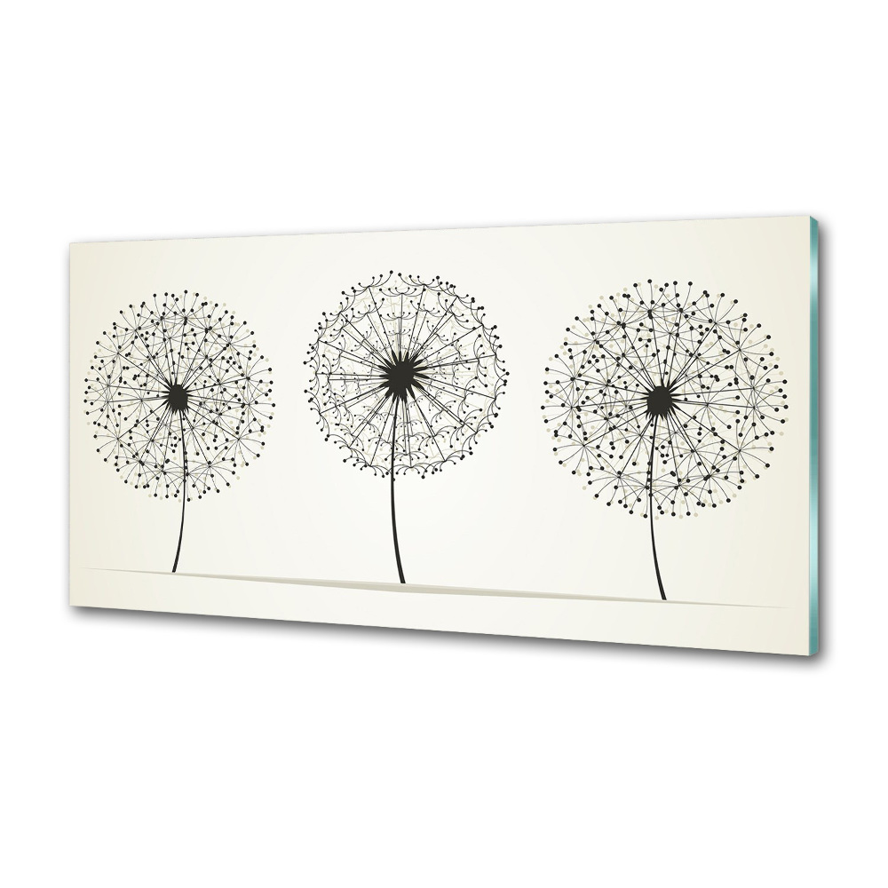 Hob splashback dandelions