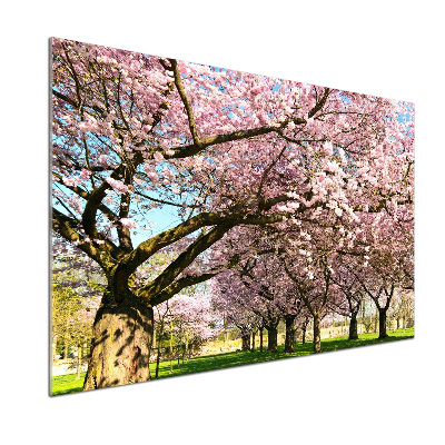 Kitchen splashback Cherry trees