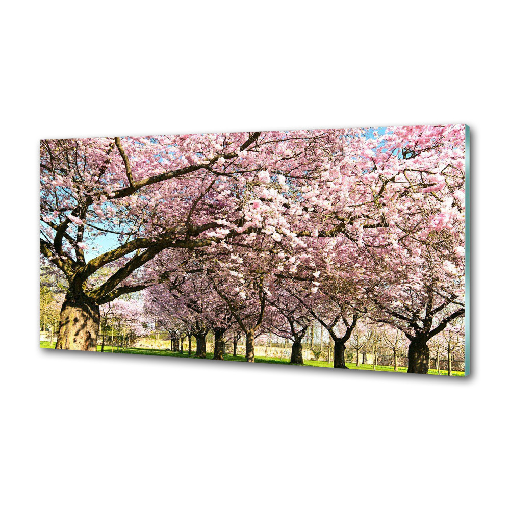 Kitchen splashback Cherry trees