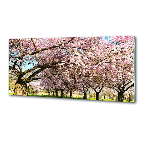 Kitchen splashback Cherry trees