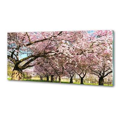 Kitchen splashback Cherry trees