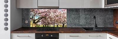 Kitchen splashback Cherry trees