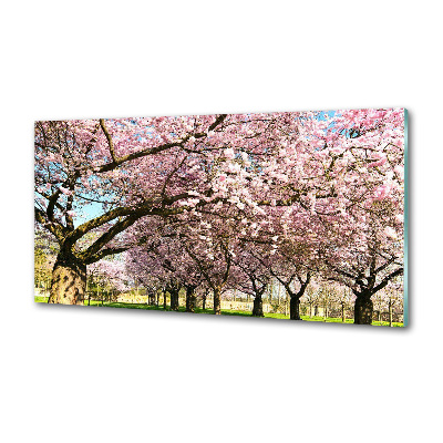 Kitchen splashback Cherry trees