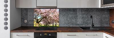 Kitchen splashback Cherry trees