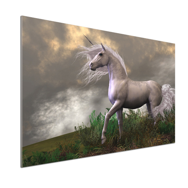 Kitchen splashback Gray unicorn