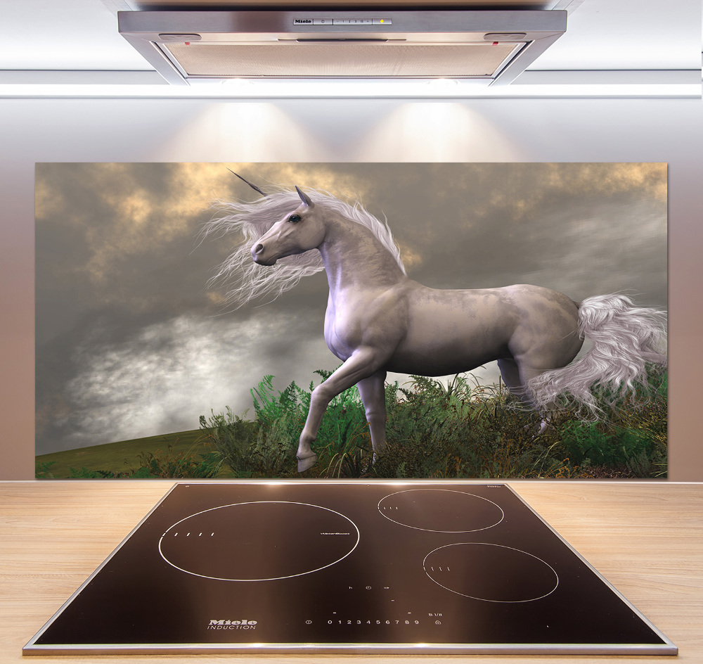 Kitchen splashback Gray unicorn