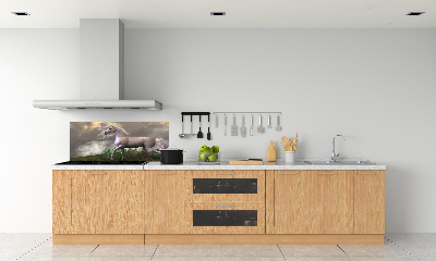 Kitchen splashback Gray unicorn