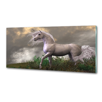 Kitchen splashback Gray unicorn