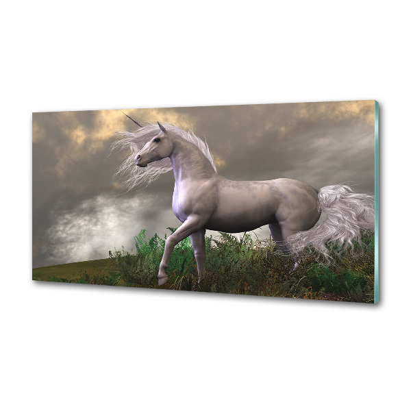 Kitchen splashback Gray unicorn