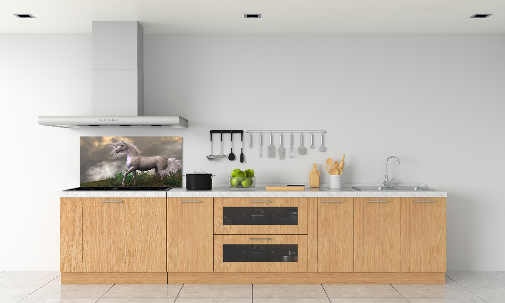 Kitchen splashback Gray unicorn