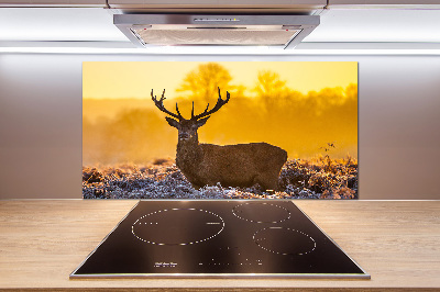 Kitchen splashback Deer sunrise