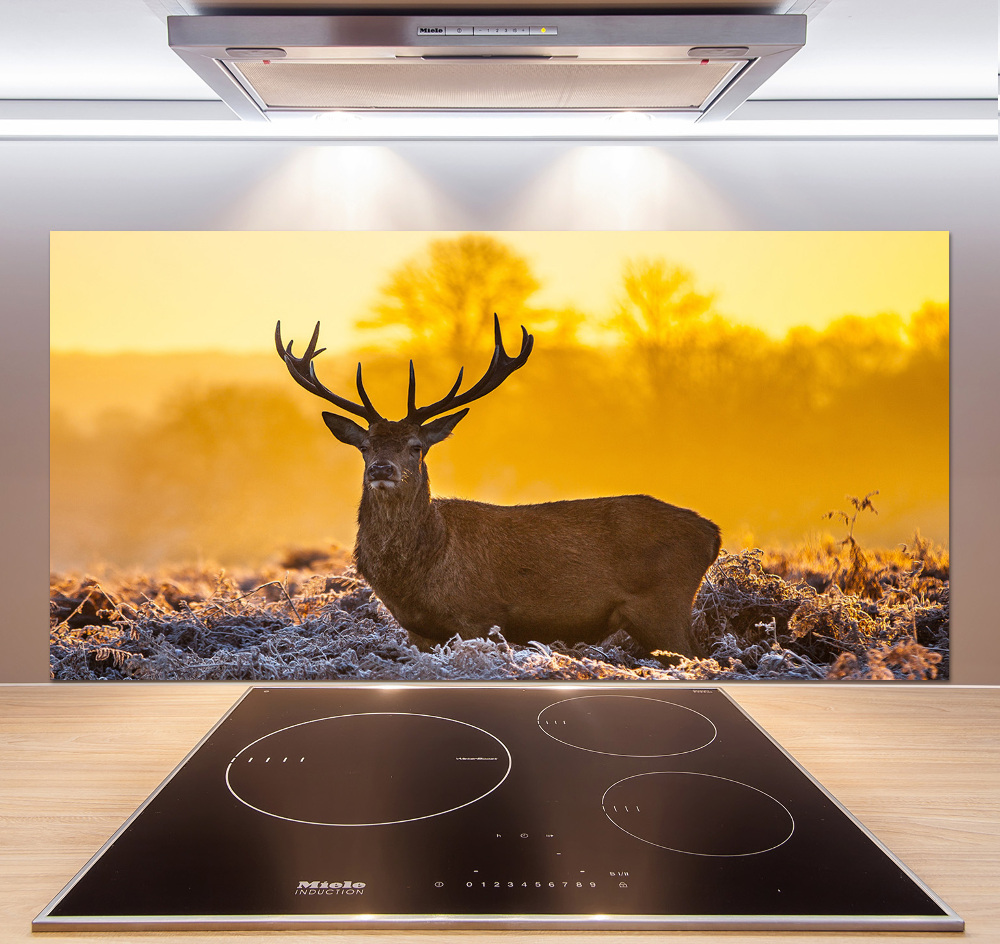 Kitchen splashback Deer sunrise