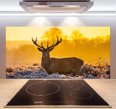 Kitchen splashback Deer sunrise