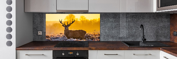 Kitchen splashback Deer sunrise